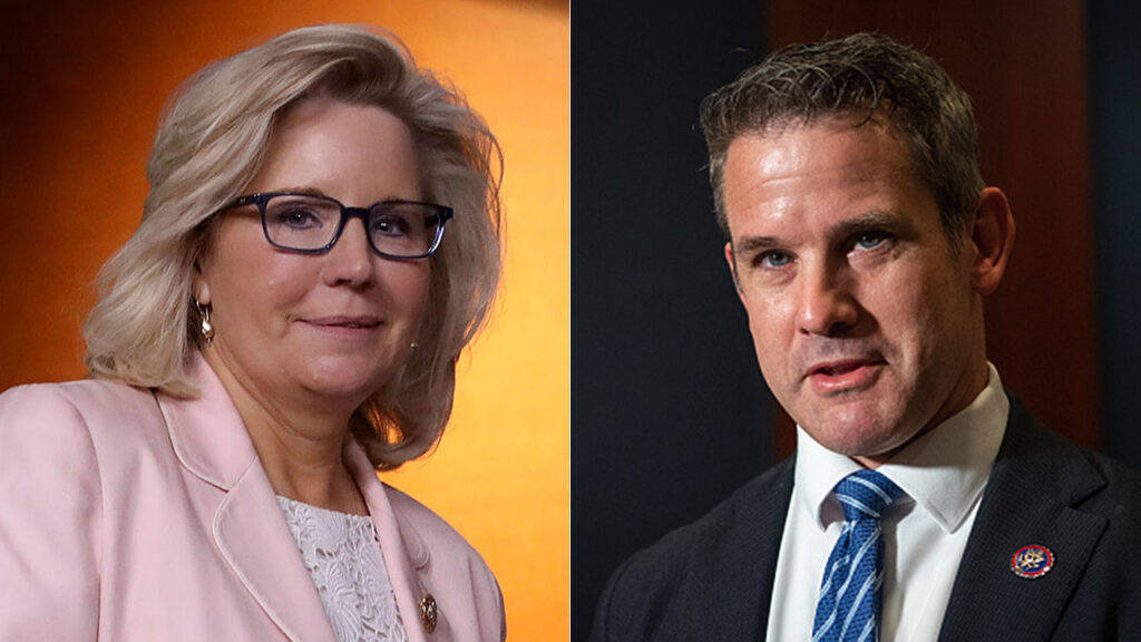 Cheney and Kinzinger: The latest turncoat Republicans the media suddenly loves