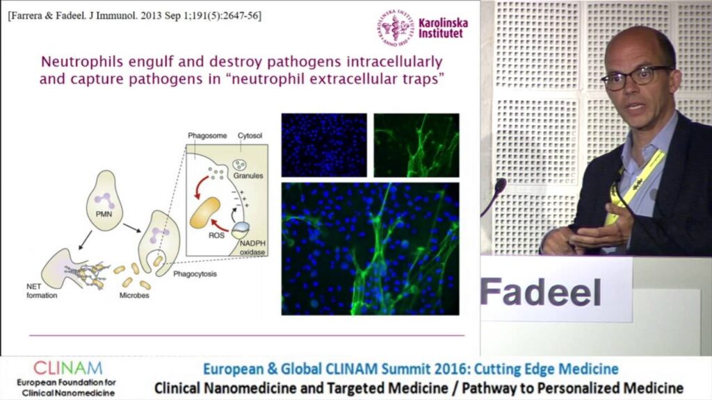 Graphene Oxide Interactions with Innate Immune Cells; Neutrophil Biodegradation and Inflammasome Activation