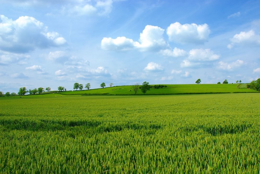 The Biden Administration Is Still Banning White Farmers From Federal Aid