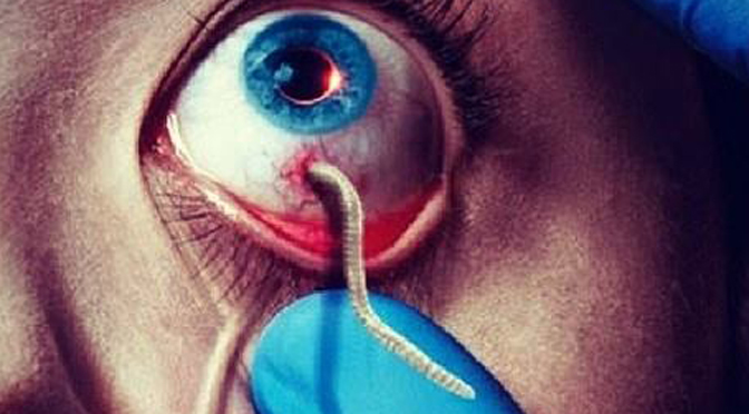 CREATING HUMAN HOSTS WITH VRIL TYPE 1S / THE “DRONING” PROCESS WITH VRIL TYPE 1S
