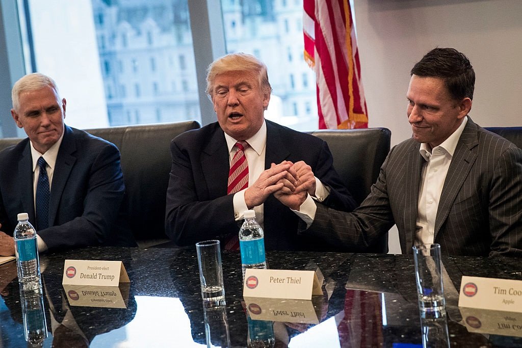 Apartheid 'works', billionaire PayPal founder and Trump backer Peter Thiel said, book claims