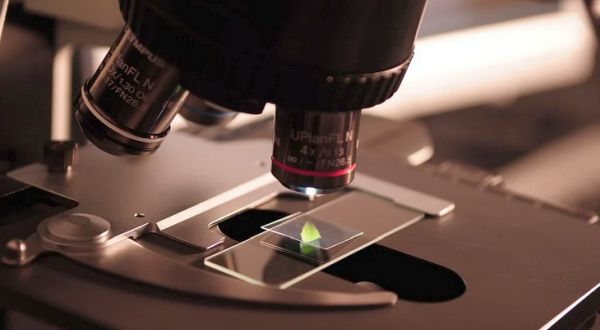 Medical research risks credibility with adoption of 'racism' standards