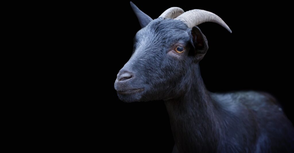 Who Was Azazel?