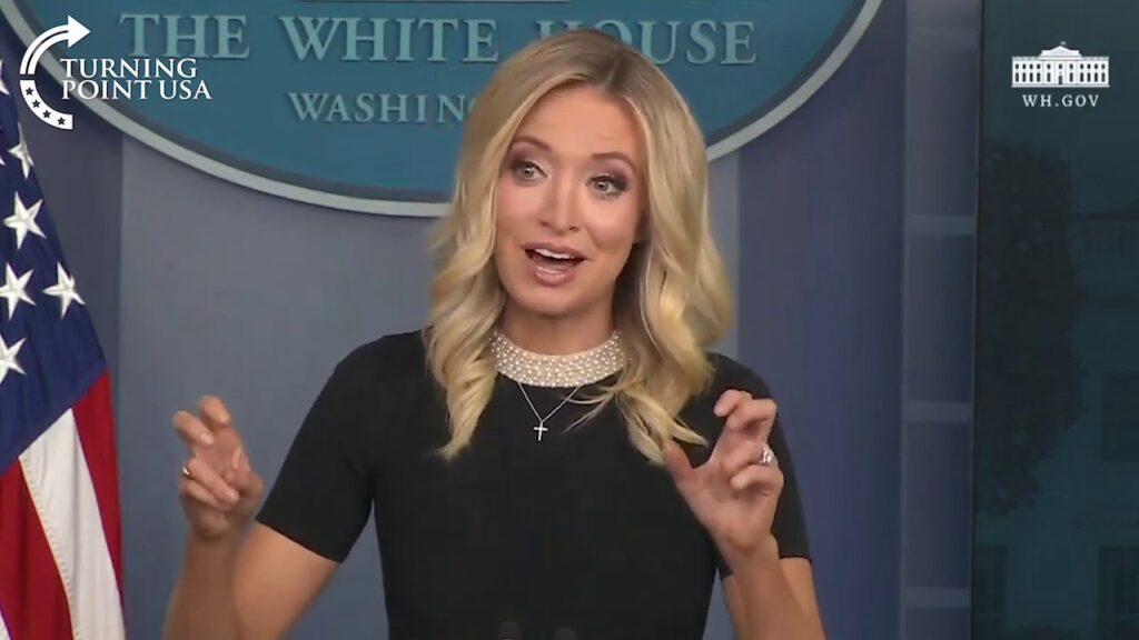 Hannity and Kayleigh McEnany coordinated to silence ‘stolen election talk’….