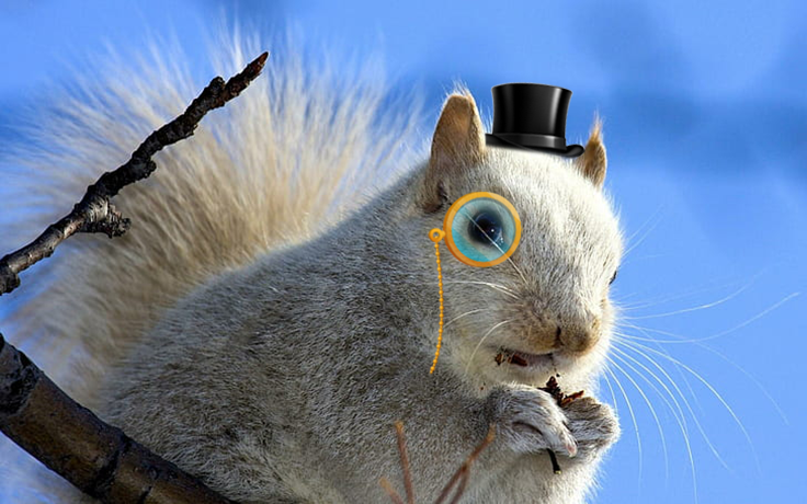 NYT: Scientists Studying Privilege, Inequality in Animal Kingdom