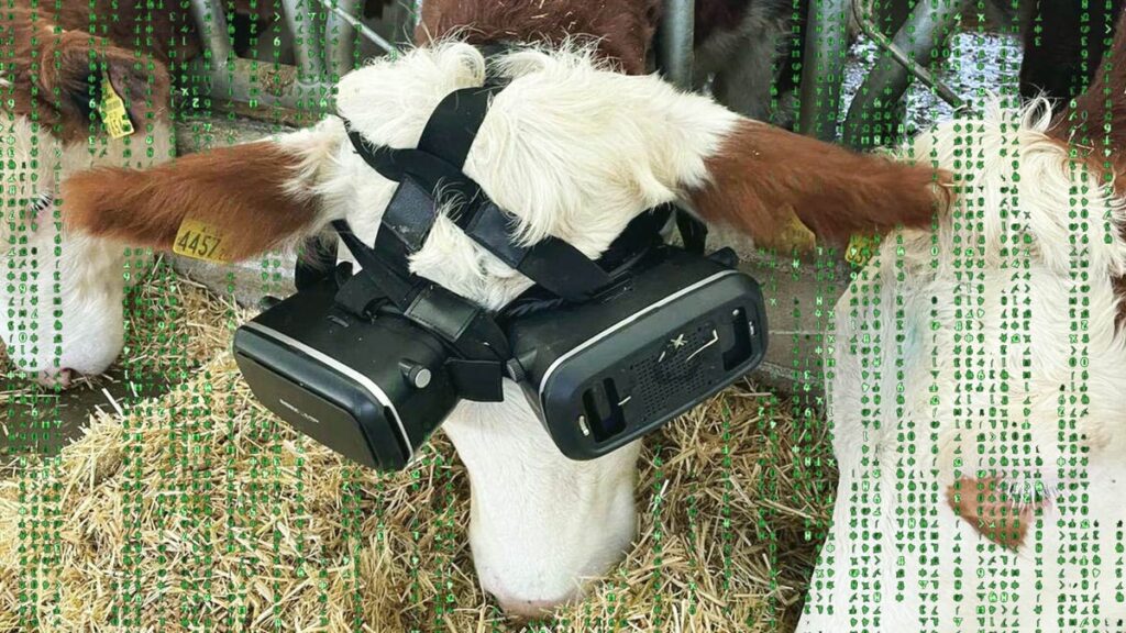 The Metaverse Is Already Here For Cows And It’s Very Sad