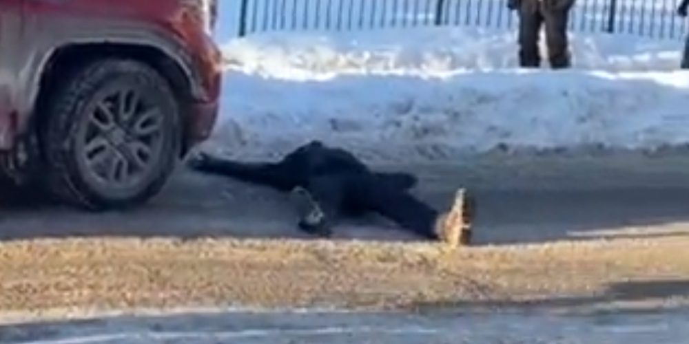 Freedom Convoy Counter Protester Gets “Hit” By Truck in Absurd Display of Crisis Acting
