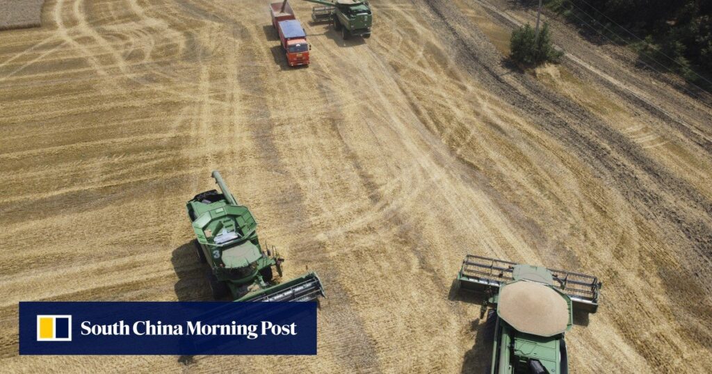 As Ukraine crisis deepens, China lifts all wheat-import restrictions on Russia