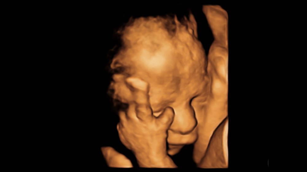 Democrats' 'Extreme' Abortion Bill Blocked, but They Vow Not to Give Up Before High Court's Decision on Roe