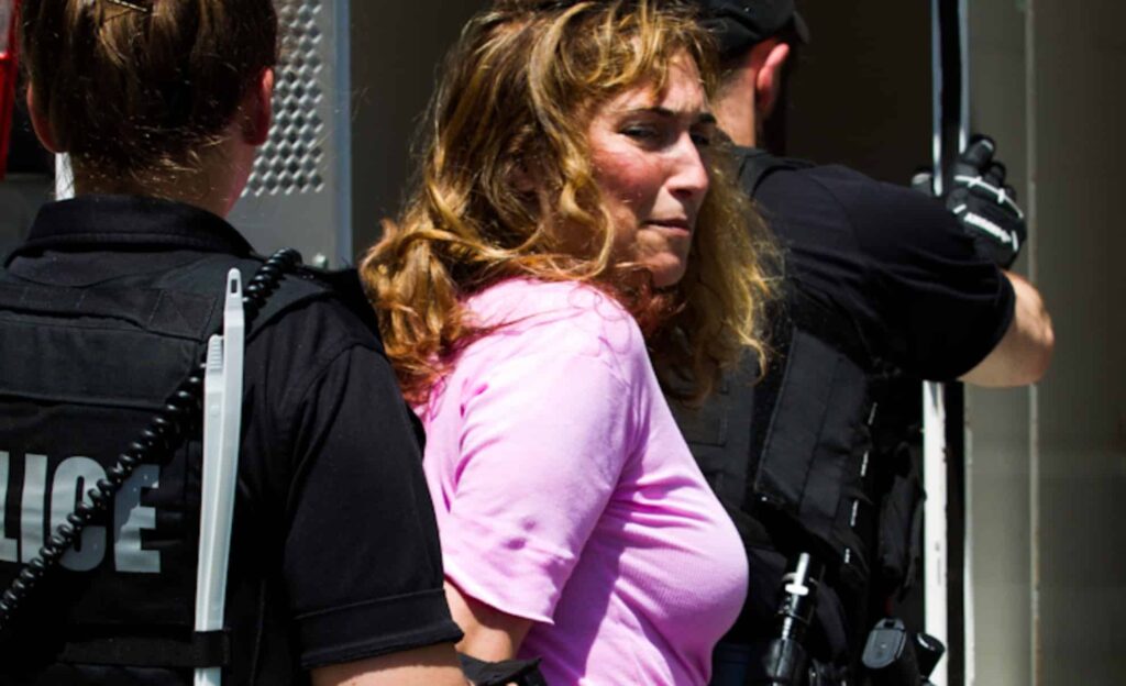 The New Domestic Terrorist: The Government’s War on Thought Crimes and Truth-Tellers