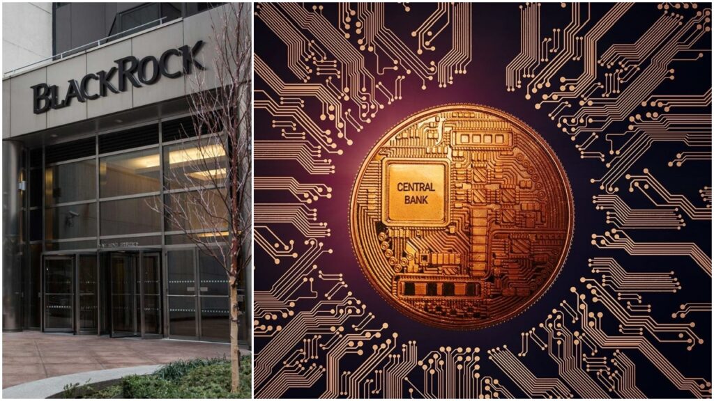 CASHLESS SOCIETY: Wall Street Kingpin Says Central Banks May Adopt Digital Currencies Due to Russia/Ukraine War