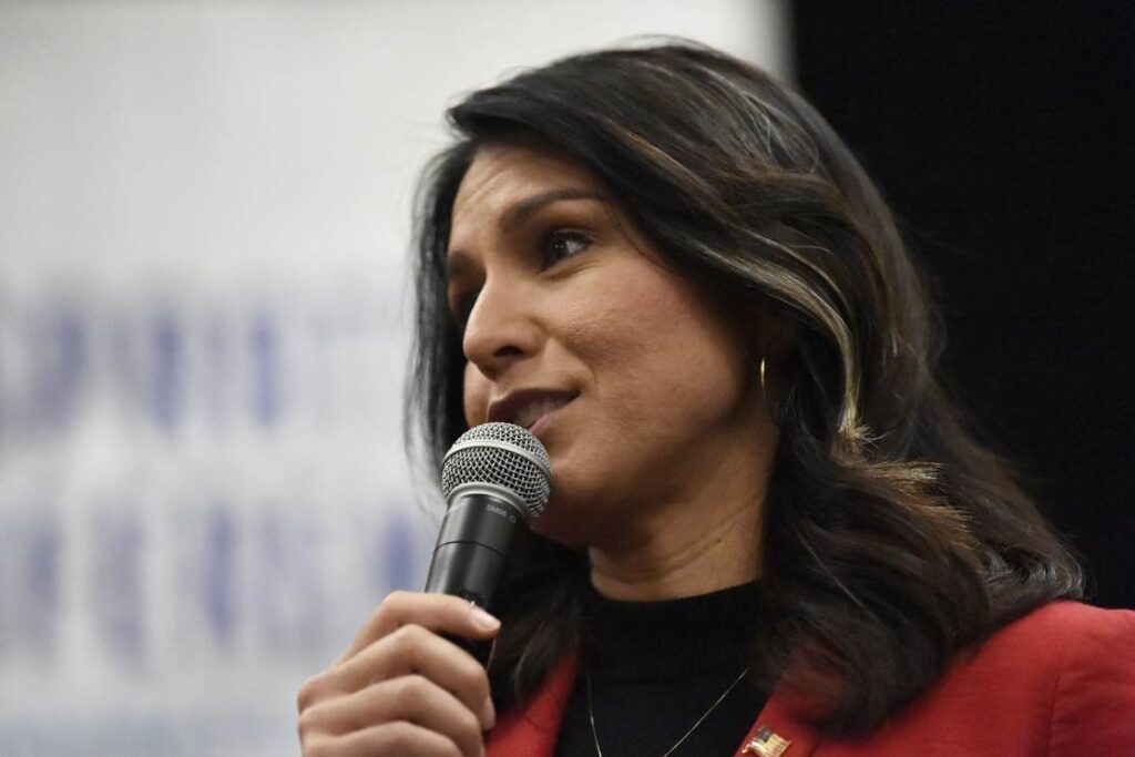 Tulsi Gabbard Triggers Leftists With Excellent Suggestion for Florida on Parental Rights Law