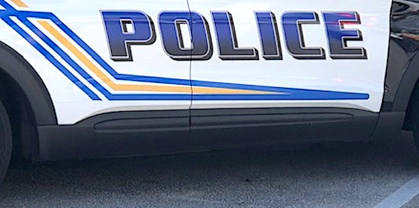 Cop pulls over car, realizes reason for shocking behavior when he finally looks inside