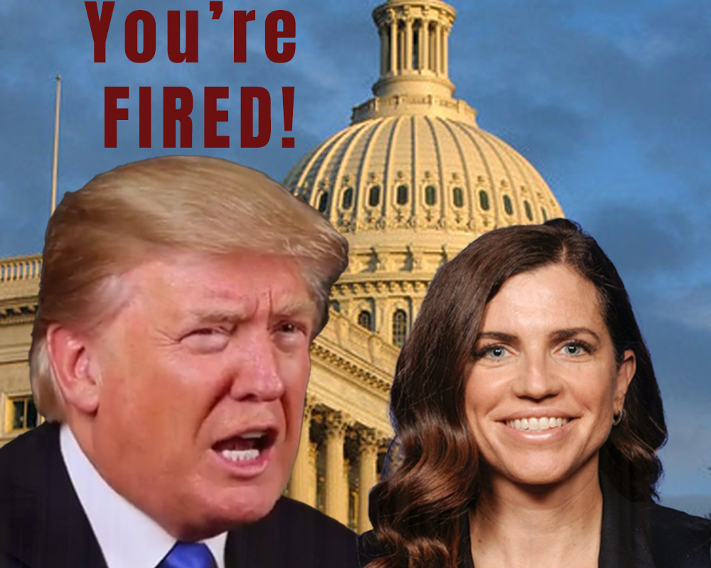 RINOs Don’t Fool These Republican Ladies