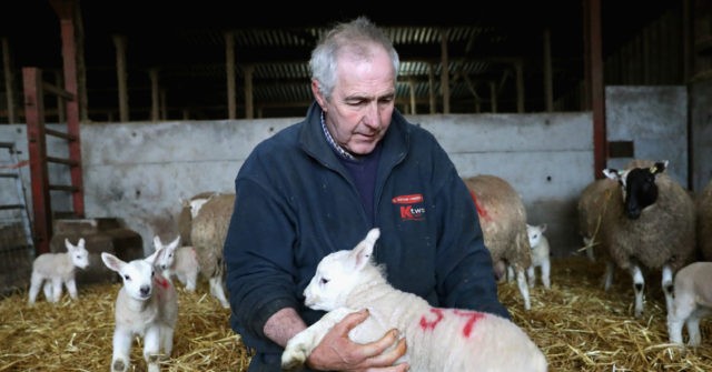 Climate Laws Threaten Family Farms as Businesses Buy Up Land for Carbon Credits