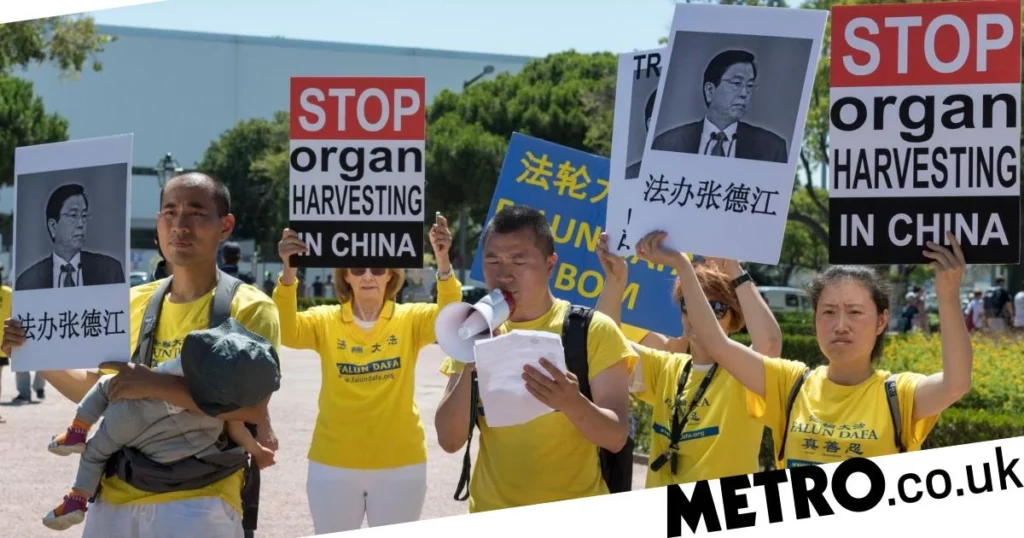 UK companies ‘risk legal action’ if they are linked to forced organ trade in China