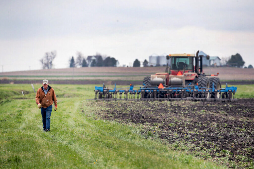 US and World Gripped by Fertilizer Crisis