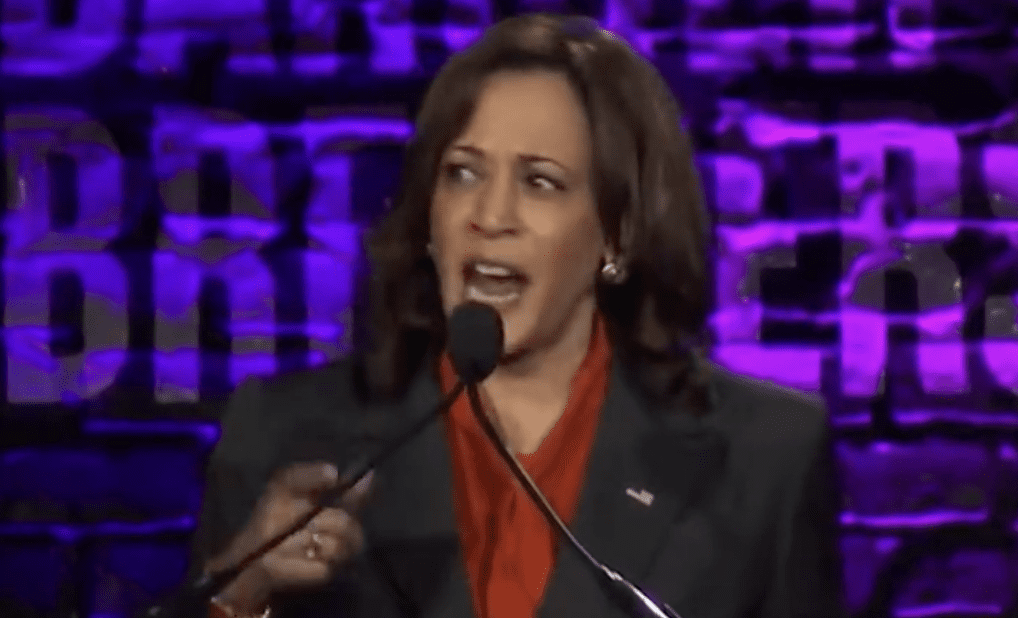 WATCH: Phony Kamala Harris Goes Off On Dramatic, Pro-Abortion Rant... Gets Wrecked By Former Pro-Life VP