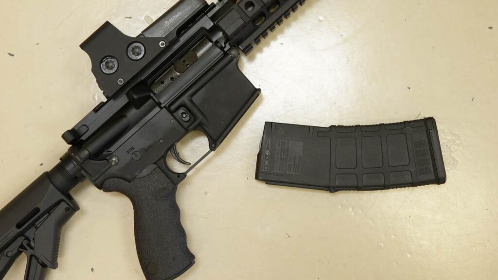 Only Criminals Will Have Guns