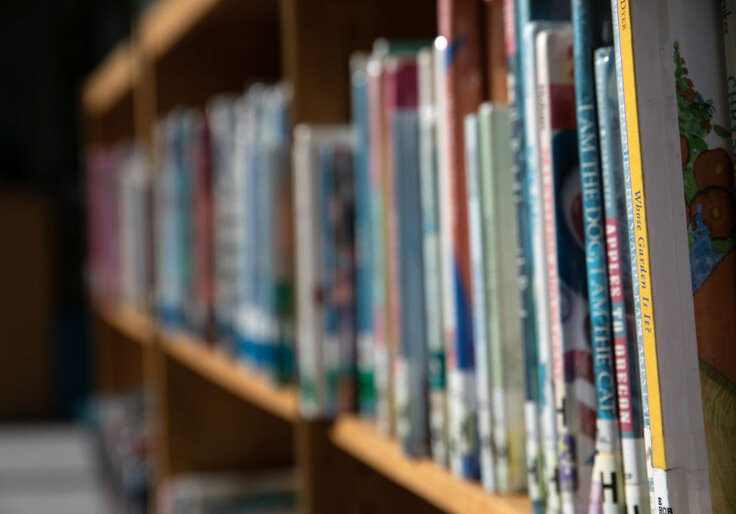 Parental Advisory: Court Rules ‘Gender Queer’ Novel Too Sexually Explicit for Schools