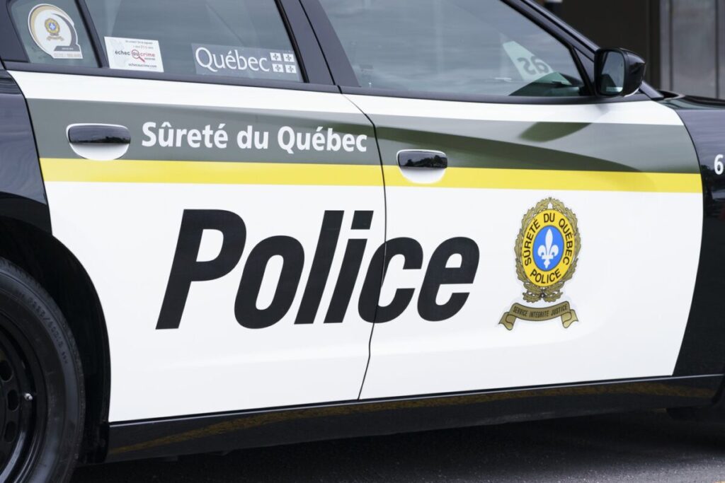 Quebec Provincial Police Issue Warning After Report of Polar Bear in Gaspé Region