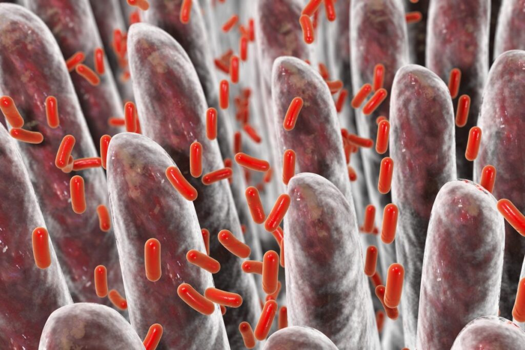 New Research Identify Pathways for Potential Treatment for Lethal Bacteria