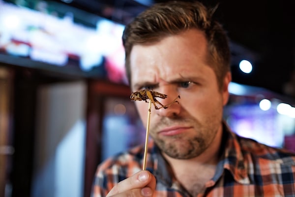 Let Them Eat Bugs… How Out of Touch Elites Reveal Their Contempt and What Comes Next