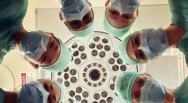 Trans chemicals, surgeries disqualified from state Medicaid coverage