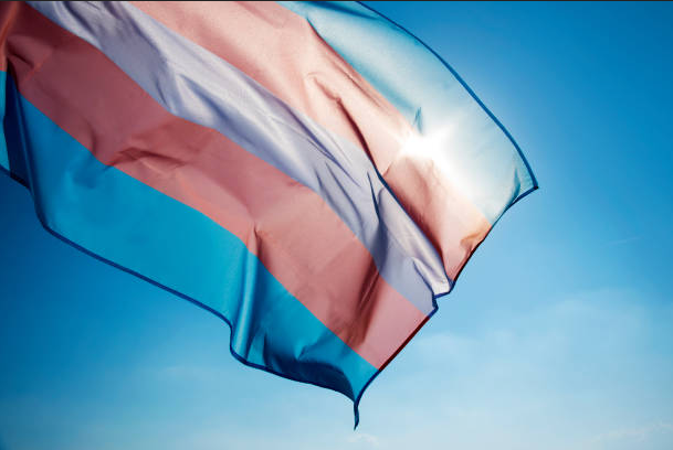 Report Shows Trans Young People Have Doubled Since 2017