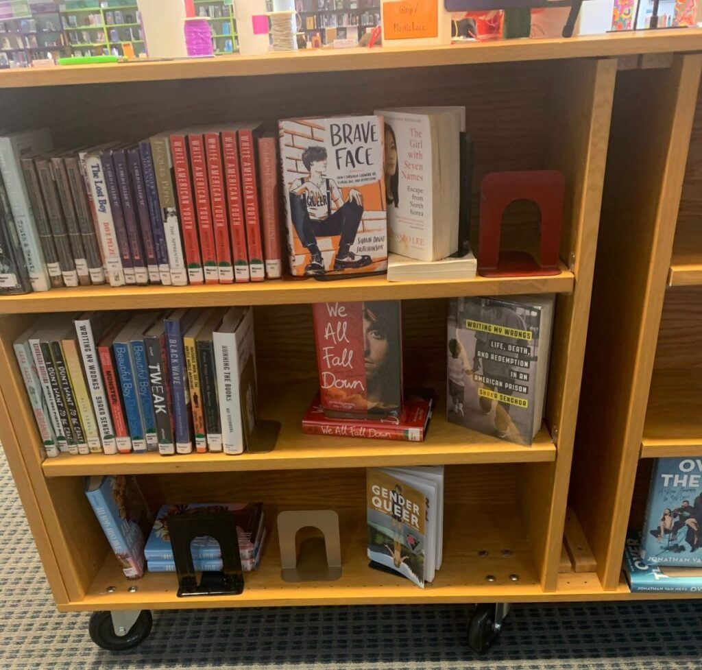 Pennsylvania Mom to Use Obscenity Law to Get Explicit Books Removed From Schools