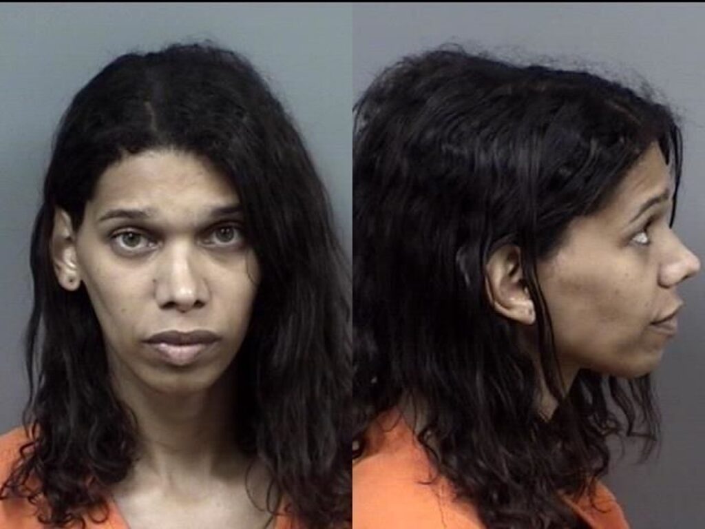 Transgender Former Cop Arrested For Allegedly Sexually Abusing Multiple Children