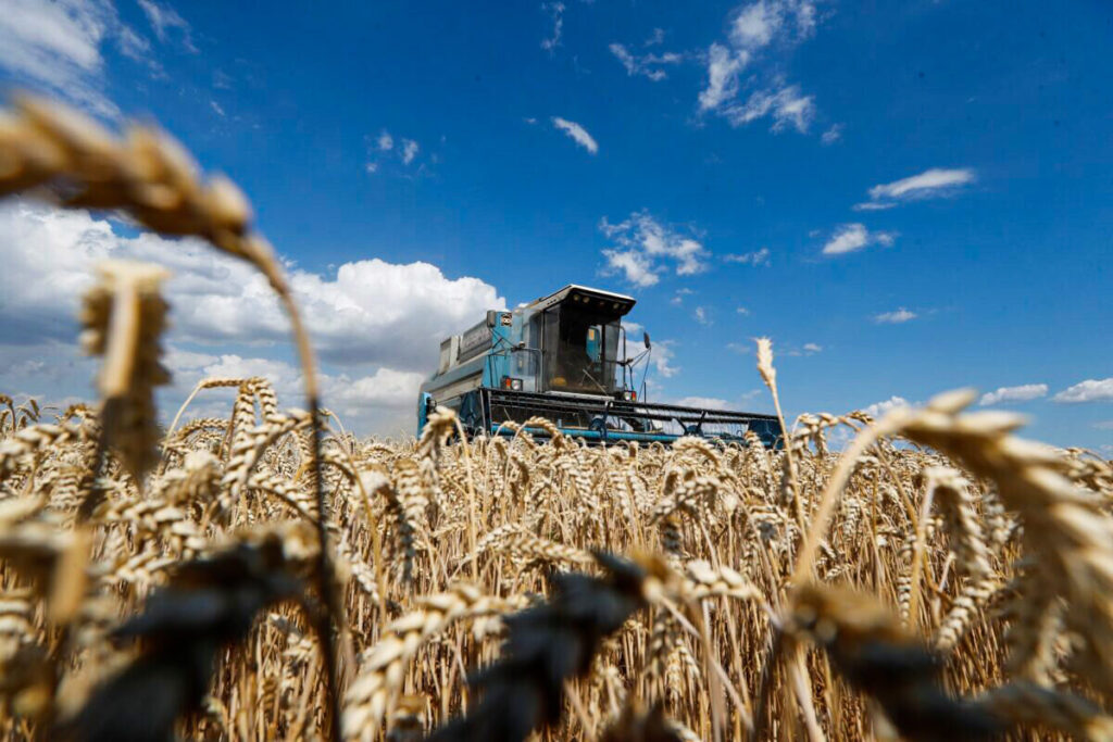 Wheat Prices Fall to Pre-War Levels Following Announcement of Russia-Ukraine Deal to Unblock Exports