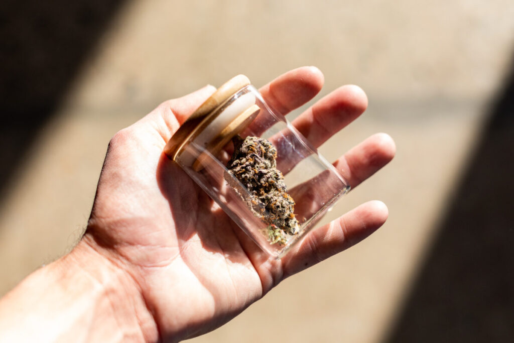 Cannabis Legalization and COVID-19 Lockdowns Increased Cannabis Use: UN Report