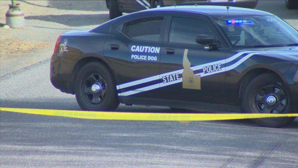 Idaho man dies after being thrown from motorcycle after hitting deer, ran over by other driver