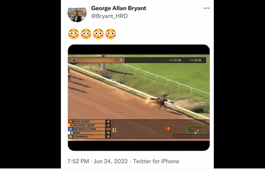 WOW! Horse Named HEAVENLY TRUMP Wins Race After Once In A Lifetime Fluke [VIDEO]