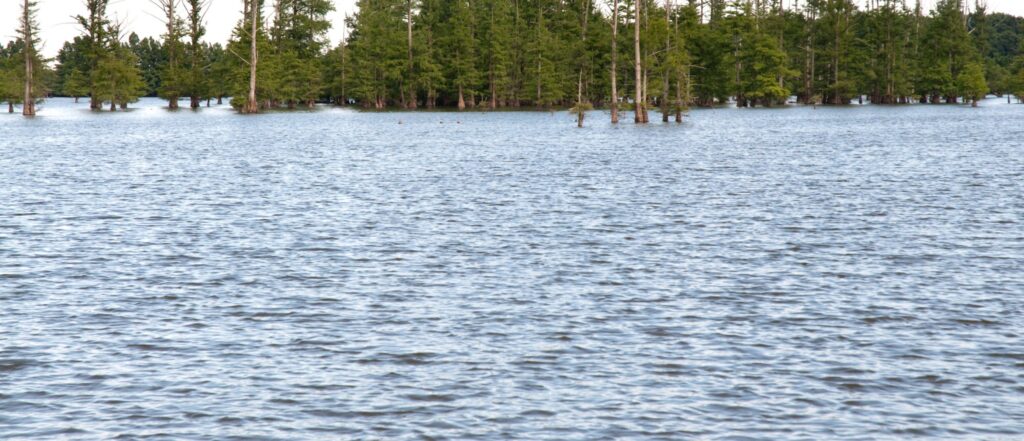 Arkansas Judge Who Went Missing During Family Trip Found Dead In Lake