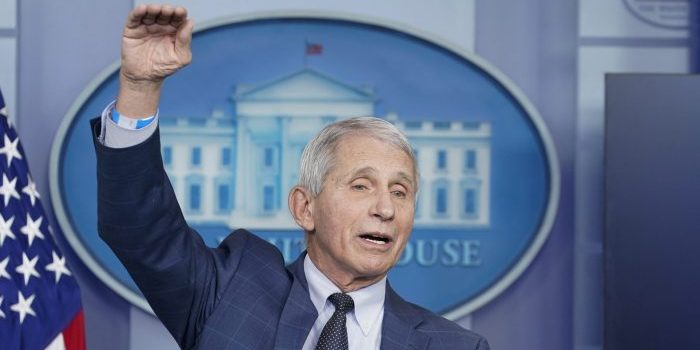 Fauci Announces Plan to Retire in December