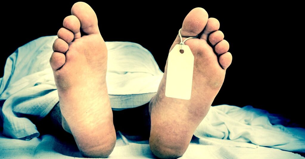 Global Excess Mortality Rates — Where’s the Investigation?