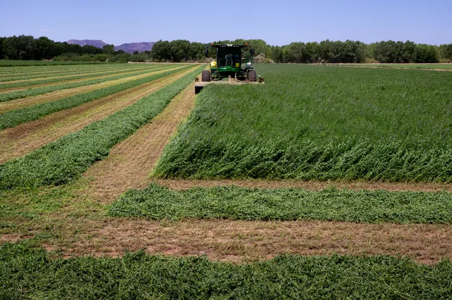 Hurricane Ian Halts Production of Fertilizer Maker Responsible for 50% of North American Supply
