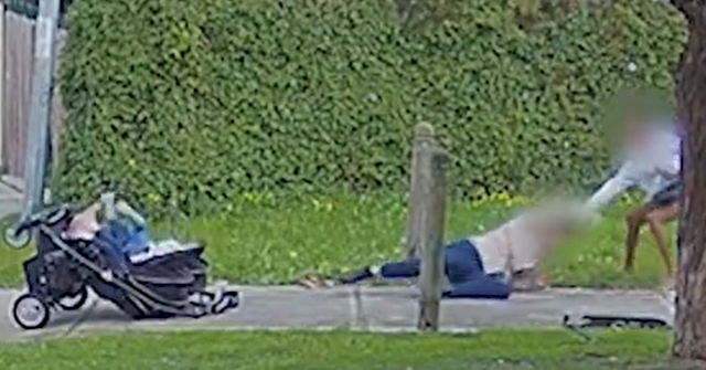 Watch: Teen Girl Assaults Pregnant Mom Pushing Children in Stroller During Alleged Attempted Robbery