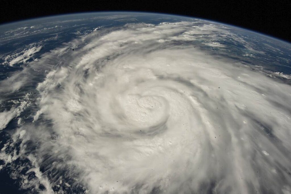 Florida Man Friday: The Heroes of Hurricane Ian