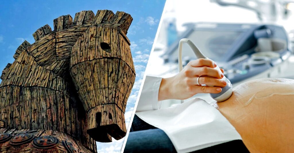 Prenatal Care, American Style — A Trojan Horse for Harmful Interventions?