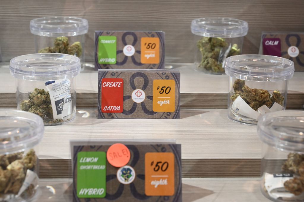 Abortion, Marijuana, Slavery: 11 Themes to 2022’s Ballot Measures