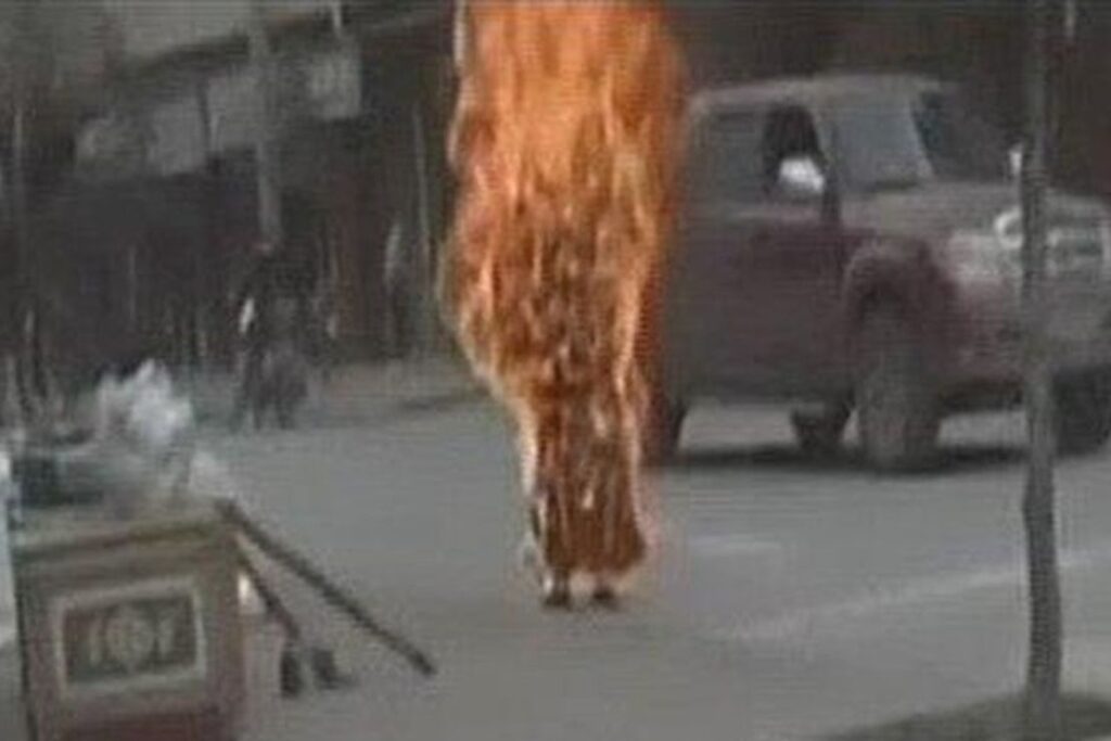 [WATCH] Fleeing Felon Bursts Into Flames After Getting Tased