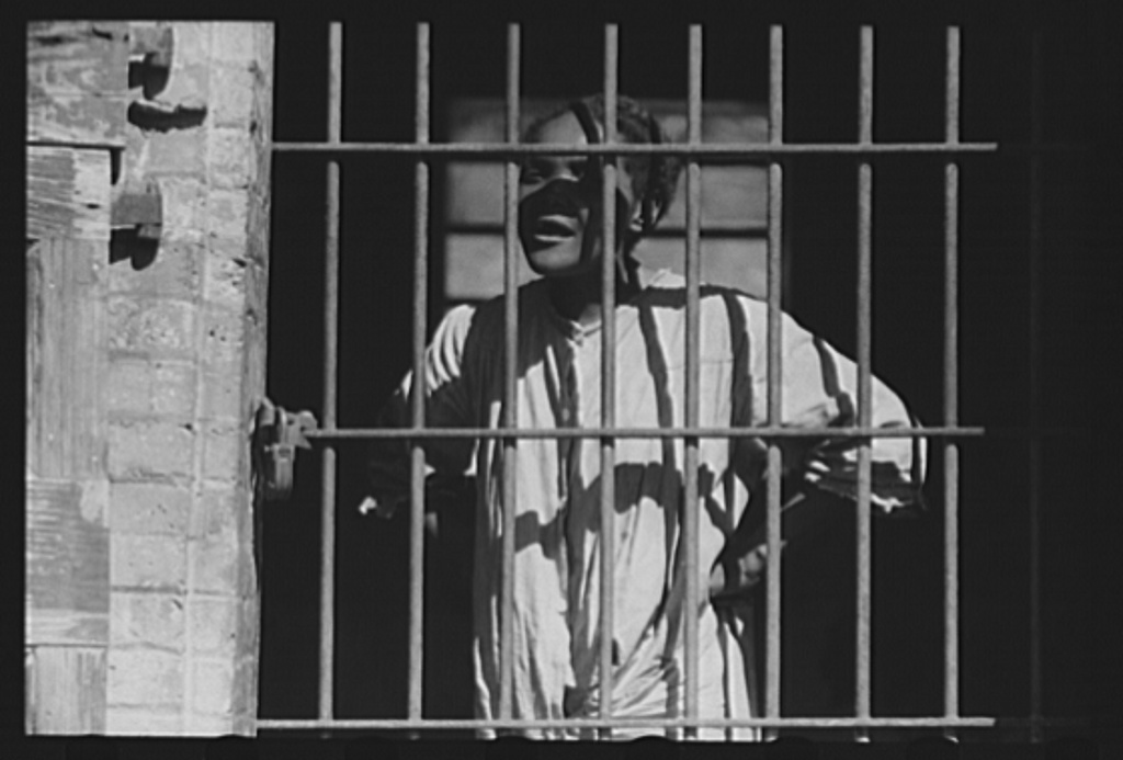 The Madness of America’s Ruling Class