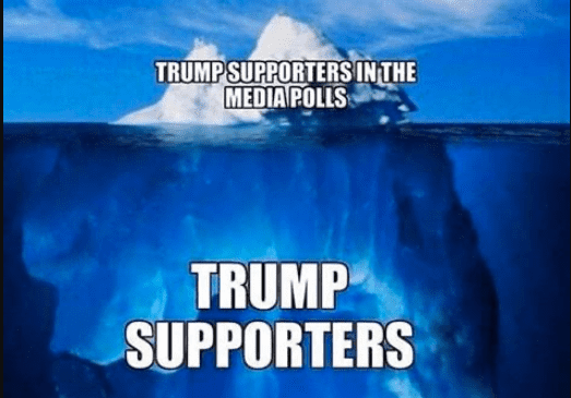 HERE WE GO AGAIN: Pollster Warns Voters Not To Rely On Midterm Polls Which Are Likely To Undercount Republican Voters