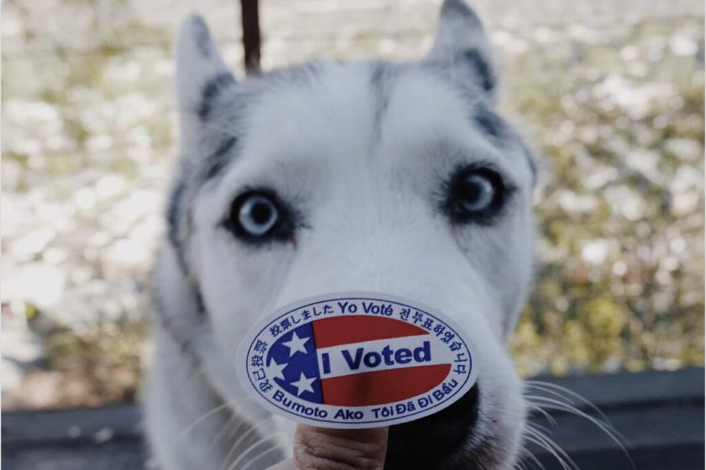 DEAD DOG Receives Register to Vote-by-Mail Application From MI Democratic Party…Homeowner’s Response Is EPIC!