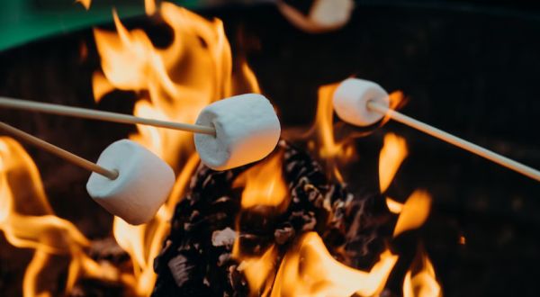 Report on summer camps: 'Don't be surprised if a kid carries out next terror attack'