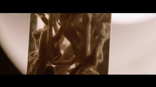 Died Suddenly Official Trailer