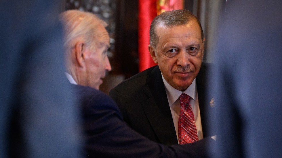 Russia had 'nothing to do with' Polish missile incident – Erdogan